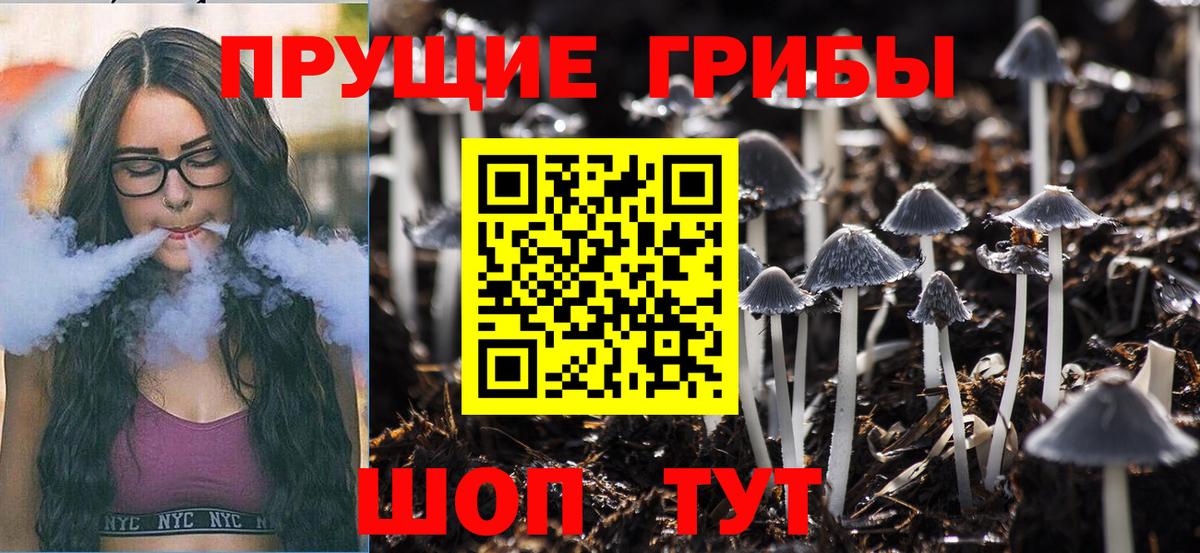 Галлюциногенные грибы Cubensis Пятигорск