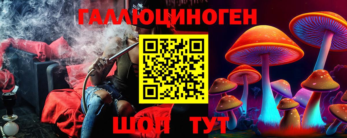 закладка  Галлюциногенные грибы прущие грибы  Вход с VPN  Пятигорск 